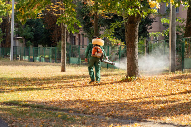 Wildlife Control Services in Sulphur, LA